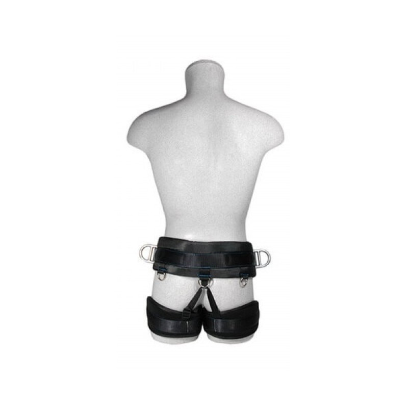 Пояс ASSECURO безлямковий ALPINA NFC CA041