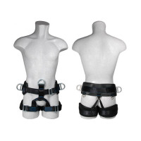 Пояс ASSECURO безлямковий ALPINA NFC CA041