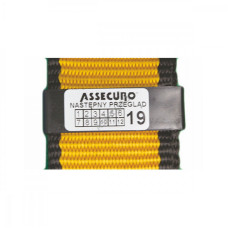 Наклейка ASSECURO для періодичних перевірок СА005 (10 шт)