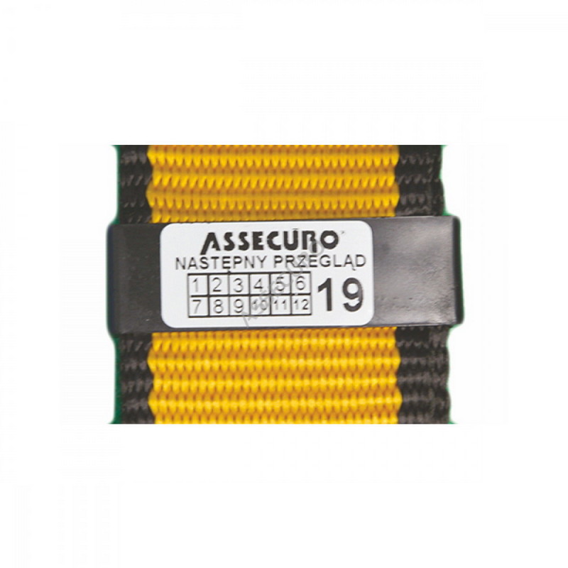 Наклейка ASSECURO для періодичних перевірок СА005 (10 шт)